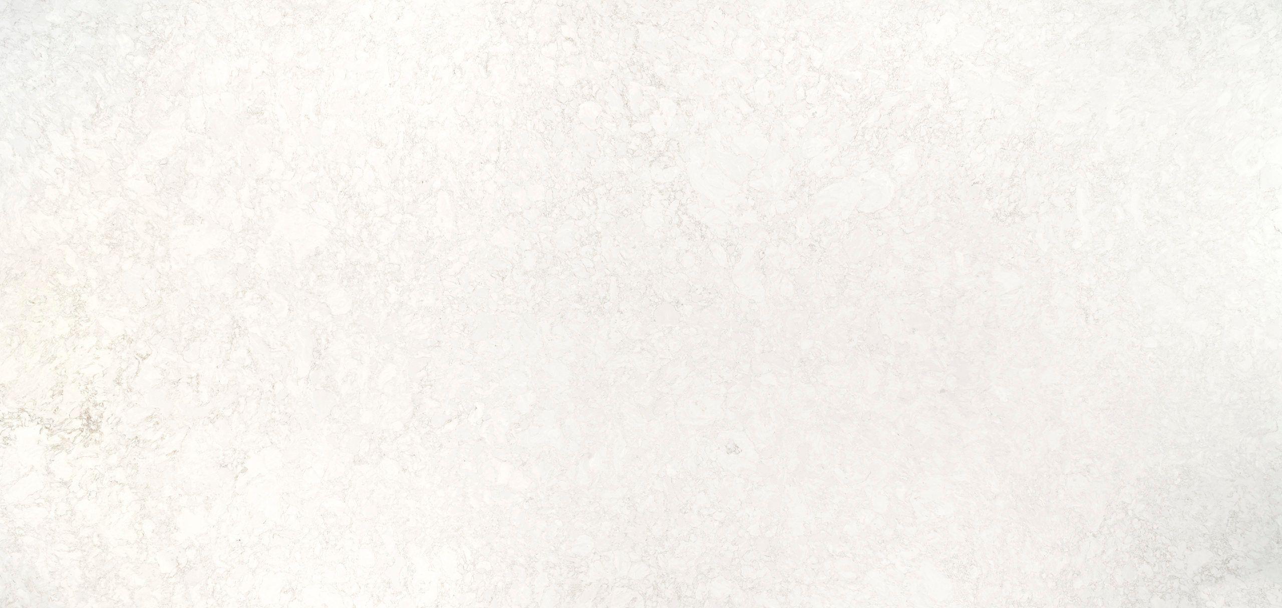 Seacourt Quartz Countertop